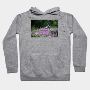 Moose / Swiss Artwork Photography Hoodie